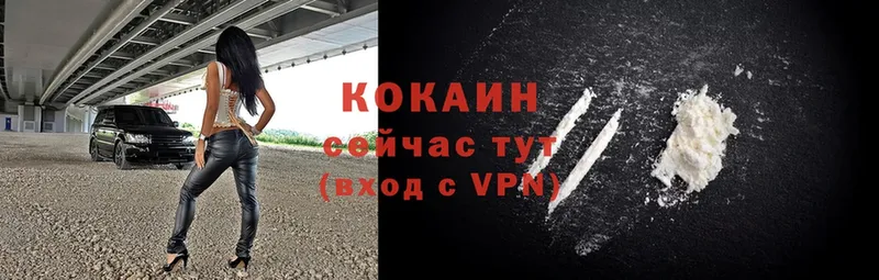 Cocaine VHQ Сергач